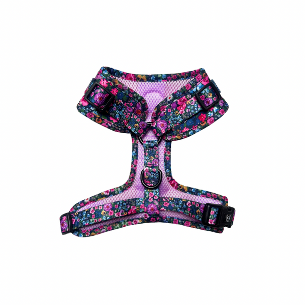 Harness - Candy Floral