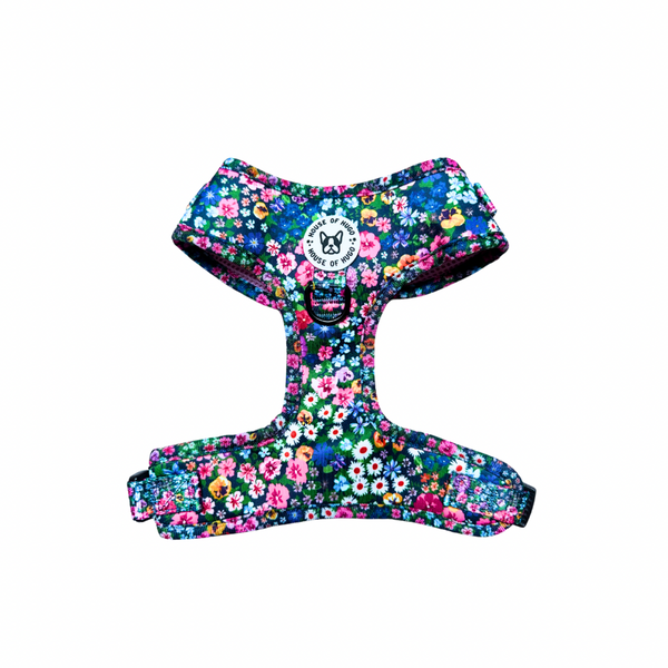 Harness - Candy Floral